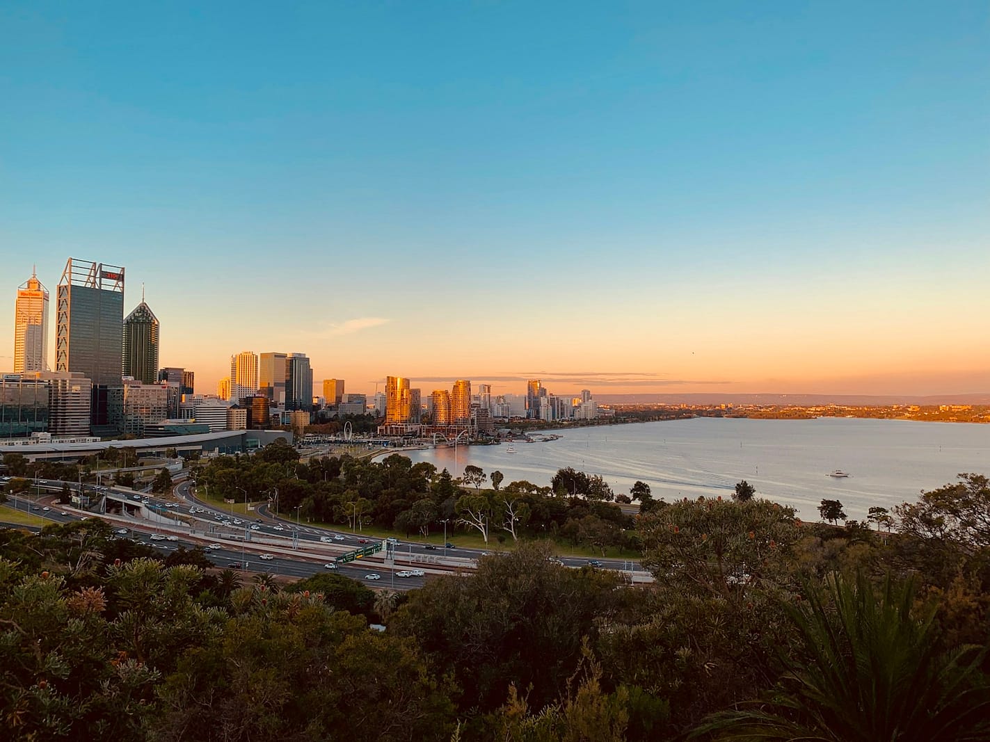 Perth CBD and Swan River from Kings Park — learn Mandarin in Perth with WillyChina