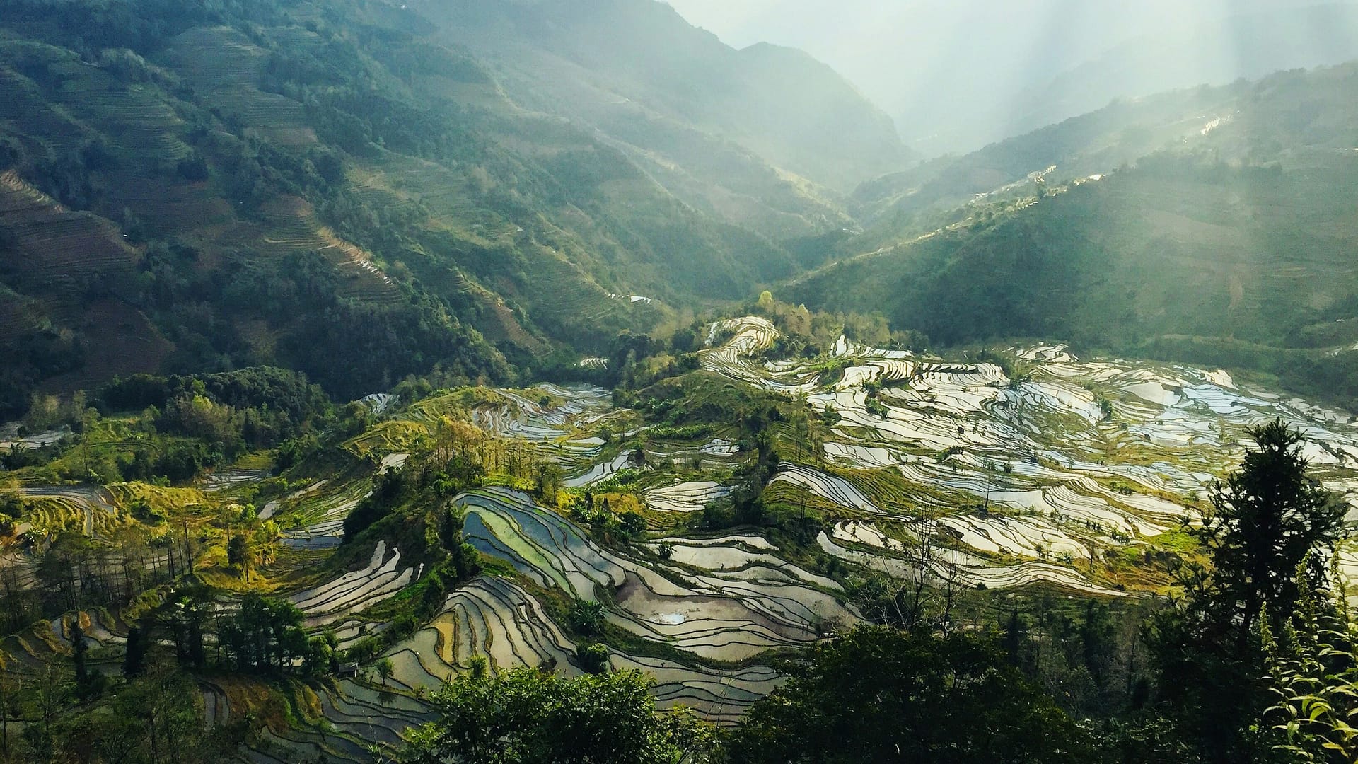 Yunnan: Complete Guide to 25 Cultures & 5 Cities